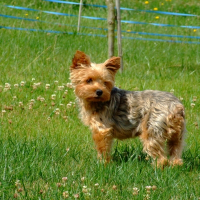 Photo de profil de Célia