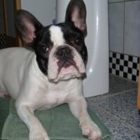 Photo de profil de Lola