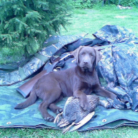 Photo de profil de Calasse