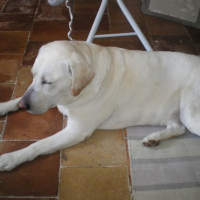 Photo de profil de Baly du gahet