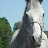 Photo de profil de Petit-gris