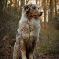 Photo de profil de Hanniah Red Hopi Girl de la Villa Loubet