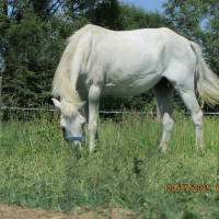 Photo de profil de Frisette