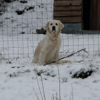 Photo de profil de Vénus 