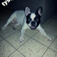 Photo de profil de Tyson