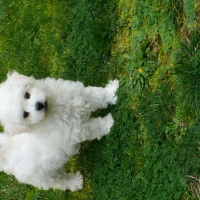 Photo de profil de Léon 