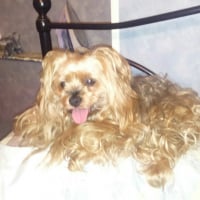 Photo de profil de roxy