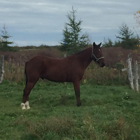 Photo de profil de boomerang