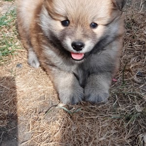 Photo de profil de Eros