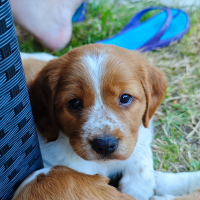 Photo de profil de Umi