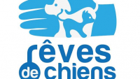 Illustration : "Refuge Rêves de Chiens"