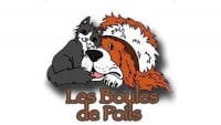 Illustration : "Les Boules de poils"