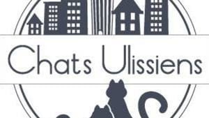 Illustration : "Chats Ulissiens"