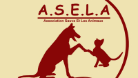 Illustration : "Association ASELA"