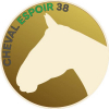 Logo de l'assocation Association Cheval Espoir 38