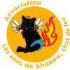 Logo de l'assocation Les amis de Shadow, chat de feu