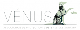 Logo de l'assocation Association Vénus