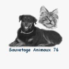 Logo de l'assocation Association Sauvetage des Animaux76