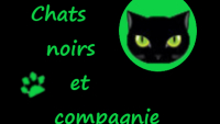 Illustration : "Chats noirs et compagnie"