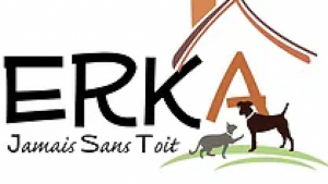 Illustration : "Erka, jamais sans Toit"