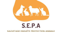 Illustration : "Association SEPA 66"