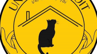Illustration : "Un chat un toit"