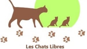 Illustration : "LES CHATS LIBRES DE LA LEZE"