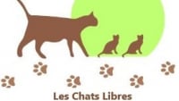 Illustration : "LES CHATS LIBRES DE LA LEZE"