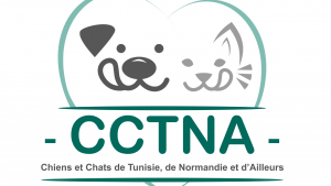 Illustration : "CCTNA"