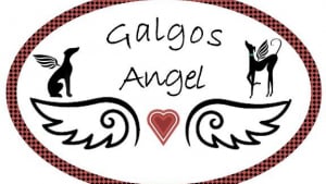 Illustration : "GALGOS ANGEL"