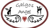 Illustration : "GALGOS ANGEL"