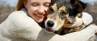 Illustration : L'assurance santé pour chien