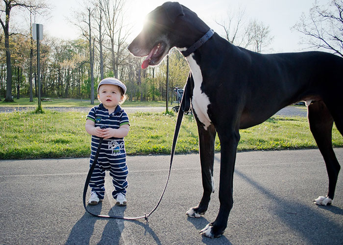 20 Magnifiques Photos Illustrant Lamitié Entre Un Enfant Et