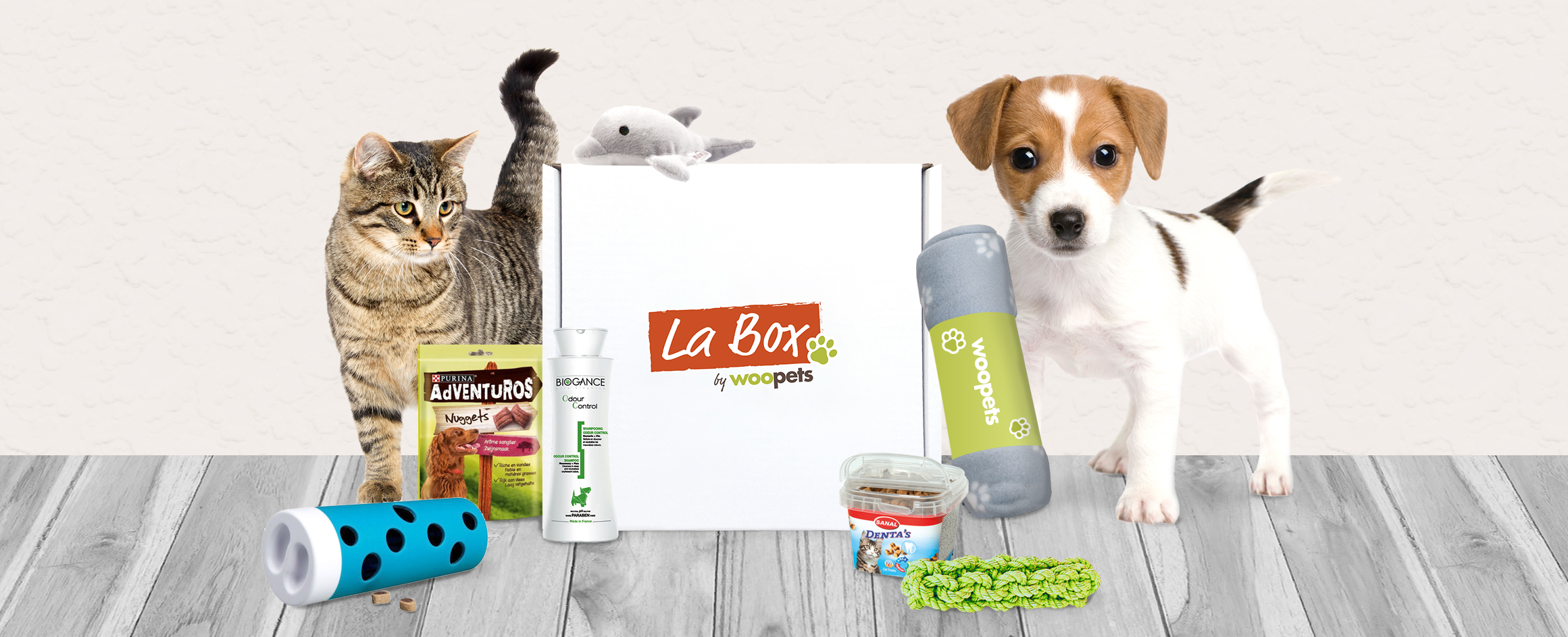 Un Noël Inoubliable pour Votre Compagnon Canin : Guide des Cadeaux 2024