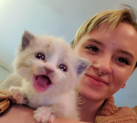 La Photo Immortalisant La Bonne Humeur De Ce Chaton Devient Virale Et Redonne Le Sourire Aux Internautes