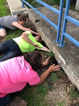 Illustration de l'article : Un homme adroit rampe sous une plaque en béton pour secourir une portée de 6 chatons