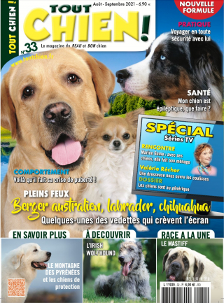 Illustration de l'article : Le magazine « Tout Chien ! » consacre un numéro spécial aux chiens dans les séries télévisées françaises