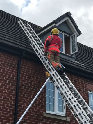 Illustration de l'article : En une heure, une unité de pompiers vient au secours de 2 chats en détresse