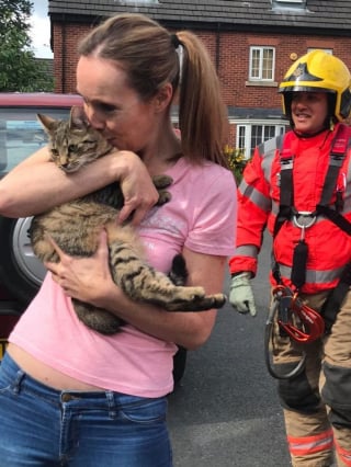 Illustration de l'article : En une heure, une unité de pompiers vient au secours de 2 chats en détresse