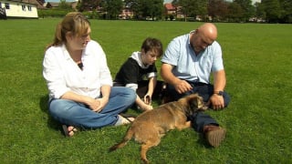 Illustration de l'article : La fin de l’angoisse pour la famille d’un chien volé en plein jour, dont l’enlèvement a été filmé