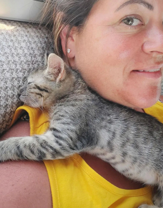 Illustration de l'article : En rencontrant des voyageurs sur la plage, ce chaton affamé reçoit bien plus qu'un simple repas !