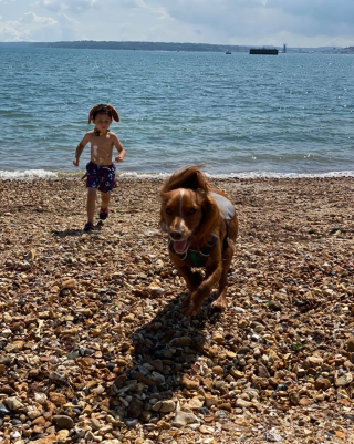 Illustration de l'article : L'histoire magnifique d'un petit garçon autiste qui apprend à s'ouvrir aux autres grâce à sa chienne