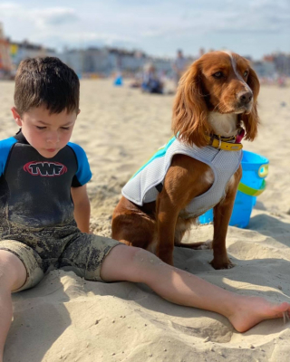 Illustration de l'article : L'histoire magnifique d'un petit garçon autiste qui apprend à s'ouvrir aux autres grâce à sa chienne