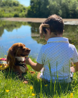 Illustration de l'article : L'histoire magnifique d'un petit garçon autiste qui apprend à s'ouvrir aux autres grâce à sa chienne