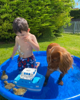 Illustration de l'article : L'histoire magnifique d'un petit garçon autiste qui apprend à s'ouvrir aux autres grâce à sa chienne