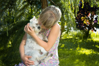 Illustration de l'article : Câliner un chien est bon pour votre santé mentale, une étude le confirme