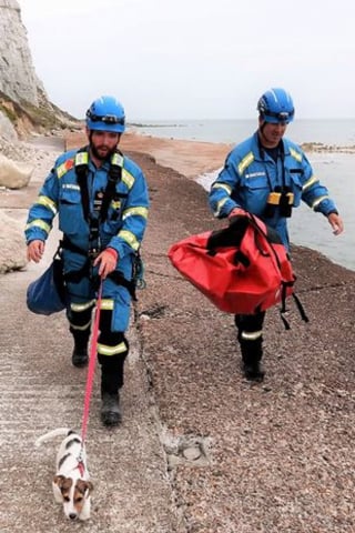 Illustration de l'article : Intrigué par des pleurs, un promeneur appelle les secours. Il s'agissait d'un Jack Russell perdu depuis plus de 24 heures !