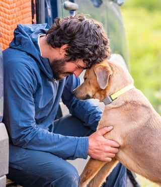 Illustration de l'article : En vacances, un amoureux des animaux aide 6 chiens dans un état critique, dont 2 femelles sur le point de mettre bas