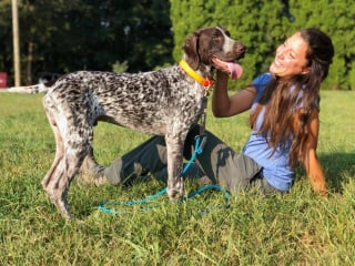 Illustration de l'article : Un chien de détection aide une chercheuse à sauver les bourdons en localisant leurs nids