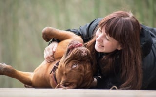 Illustration de l'article : Journée mondiale du chien : 5 raisons pour lesquelles le chien est le meilleur ami de l'Homme